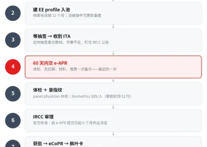 EE 入池到拿枫叶卡：7 步完整 timeline，60 天交材料最容易翻车