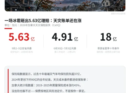 一场冰雹砸出5.63亿理赔：没出险，你家房险为什么也跟着涨